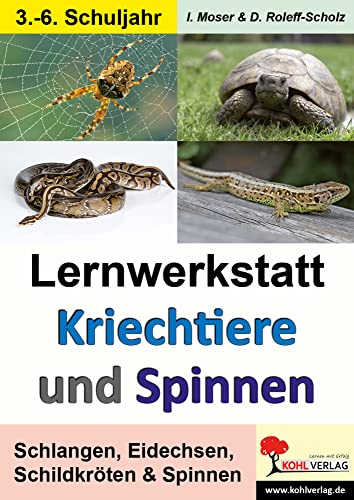 Lernwerkstatt Kriechtiere und Spinnen: Schlangen, Eidechsen, Schildkröten & Spinnen von Kohl Verlag Der Verlag Mit Dem Baum