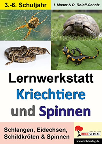 Lernwerkstatt Kriechtiere und Spinnen: Schlangen, Eidechsen, Schildkröten & Spinnen Lernwerkstatt Kriechtiere und Spinnen: Schlangen, Eidechsen, Schildkröten & Spinnen