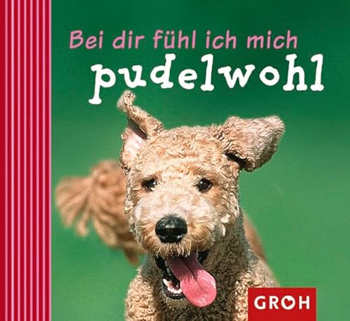 Bei dir fühl ich mich pudelwohl (Ich denk an dich)