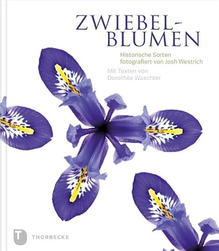 Zwiebelblumen: Historische Sorten fotografiert von Josh Westrich