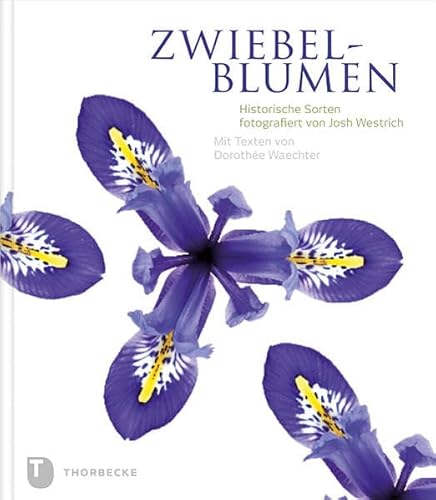 Zwiebelblumen - Historische Sorten fotografiert von Josh Westrich