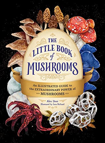 The Little Book of Mushrooms: An Illustrated Guide to the Extraordinary Power of Mushrooms von Adams Media
