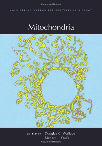 Mitochondria (Cold Spring Harbor Perspectives in Biology) von Cold Spring Harbor Laboratory Press,U.S.