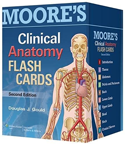 Moore's Clinical Anatomy Flash Cards von LWW