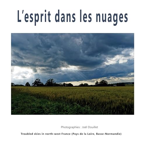 L'esprit dans les nuages: Turbulent skies in north-west France (Pays de la Loire, Basse-Normandie) von BoD – Books on Demand – Frankreich