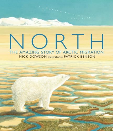 North: The Amazing Story of Arctic Migration von Candlewick