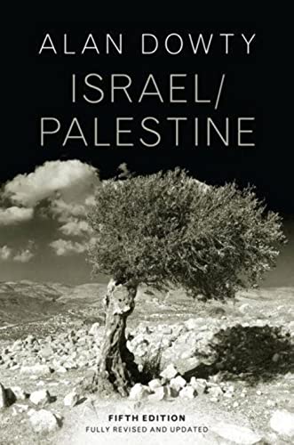 Israel / Palestine (The Hot Spots in Global Politics) von Polity