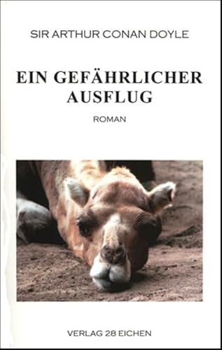 Arthur Conan Doyle: Ausgewählte Werke: Ein gefährlicher Ausflug