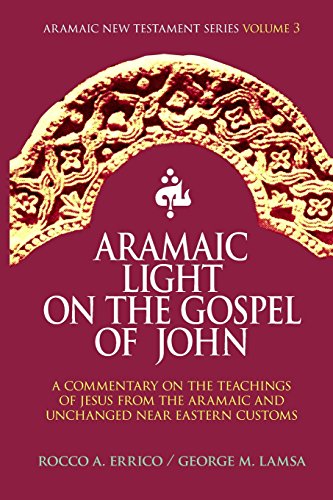 Aramaic Light on the Gospel of John (Aramaic New Testament Series, Band 3) von Noohra Foundation