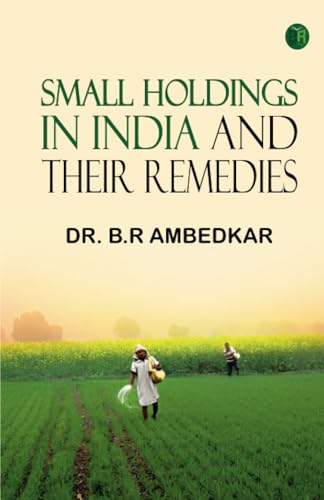 Small Holdings In India And Their Remedies von Zinc Read