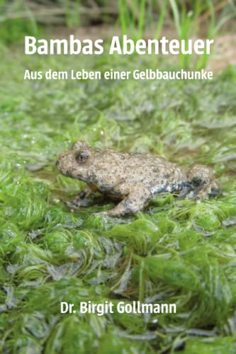 Bambas Abenteuer: Aus dem Leben einer Gelbbauchunke von Papierfresserchens MTM-VE / Papierfresserchens MTM-Verlag