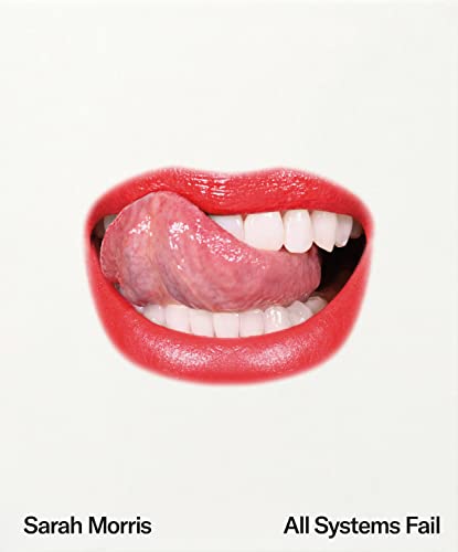 Sarah Morris: All Systems Fail von Hatje Cantz