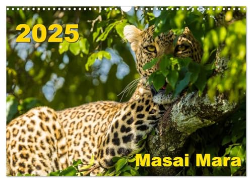 Masai Mara 2025 (Wandkalender 2025 DIN A3 quer), CALVENDO Monatskalender von CALVENDO