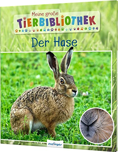 Meine große Tierbibliothek: Der Hase: Sachbuch für Vorschule & Grundschule