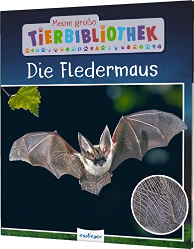 Meine große Tierbibliothek: Die Fledermaus: Sachbuch für Vorschule & Grundschule von Esslinger Verlag