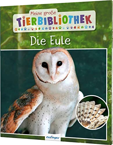 Meine große Tierbibliothek: Die Eule: Sachbuch für Vorschule & Grundschule von Esslinger Verlag