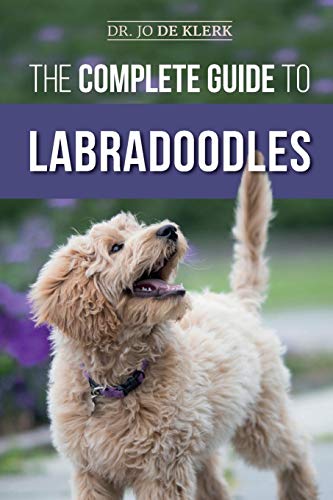 The Complete Guide to Labradoodles: Selecting, Training, Feeding, Raising, and Loving your new Labradoodle Puppy von Independently Published