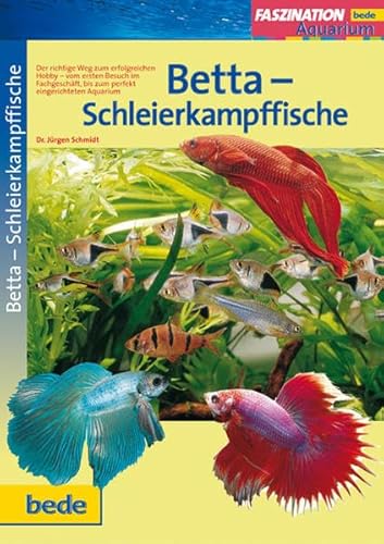 Betta-Schleierkampffische, Faszination