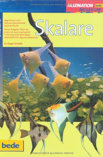 Skalare, Faszination Skalare, Faszination