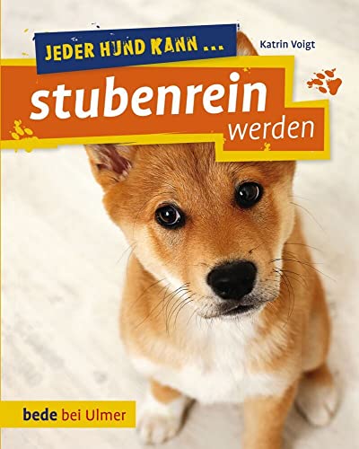 Jeder Hund kann stubenrein werden: So klappt's auch mit der Sauberkeit
