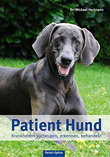Patient Hund: Krankheiten vorbeugen, erkennen, behandeln