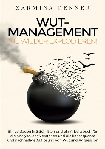 Wut Management - Nie wieder explodieren!: Ein Leitfaden in 3 Schritten und ein Arbeitsbuch für die Analyse, das Verstehen und die konsequente und ... nachhaltige Auflösung von Wut und Aggression von Lucid Page Media