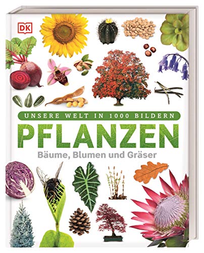 Unsere Welt in 1000 Bildern. Pflanzen: Bäume, Blumen und Gräser. Visuelle Pflanzenkunde anschaulich & kindgerecht erklärt. Für Kinder ab 8 Jahren