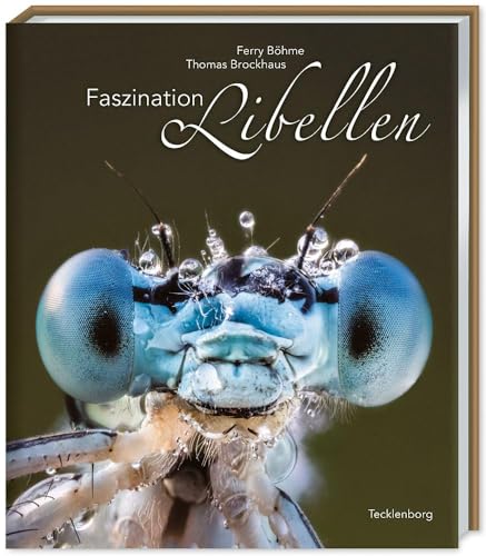 Faszination Libellen von Tecklenborg Verlag GmbH