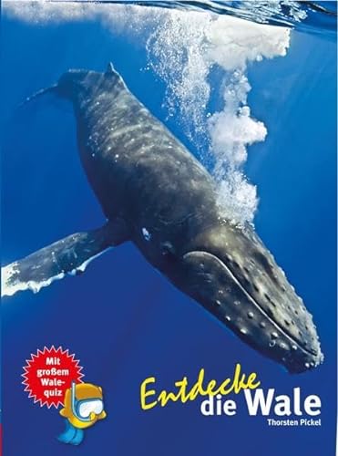 Entdecke die Wale: Mit großem Walequiz (Entdecke - Die Reihe mit der Eule, 18) von NTV Natur und Tier-Verlag
