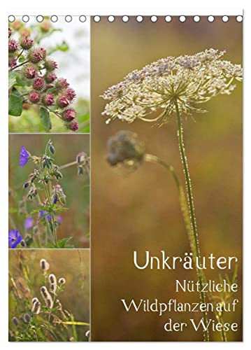 Unkräuter - Nützliche Wildpflanzen auf der Wiese (Tischkalender 2025 DIN A5 hoch), CALVENDO Monatskalender von CALVENDO
