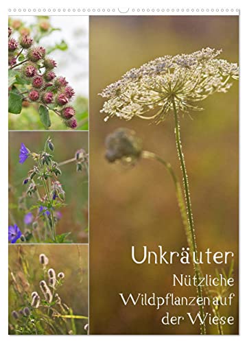 Unkräuter - Nützliche Wildpflanzen auf der Wiese (Wandkalender 2024 DIN A2 hoch), CALVENDO Monatskalender