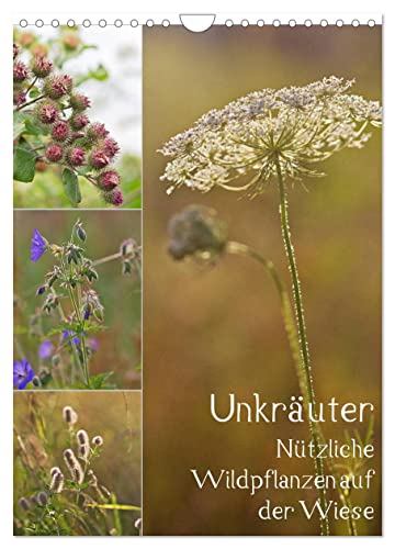 Unkräuter - Nützliche Wildpflanzen auf der Wiese (Wandkalender 2024 DIN A4 hoch), CALVENDO Monatskalender von CALVENDO