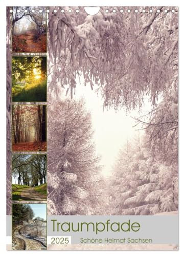 Traumpfade - Schöne Heimat Sachsen (Wandkalender 2025 DIN A4 hoch), CALVENDO Monatskalender