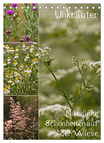 Unkräuter – Nützliche Schönheiten auf der Wiese (Tischkalender 2023 DIN A5 hoch): Nutz- und Heilpflanzen auf der Wiese (Monatskalender, 14 Seiten ) (CALVENDO Natur) von CALVENDO