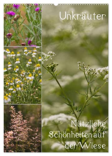 Unkräuter – Nützliche Schönheiten auf der Wiese (Wandkalender 2025 DIN A2 hoch), CALVENDO Monatskalender von CALVENDO