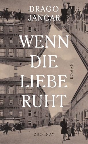 Wenn die Liebe ruht: Roman von Zsolnay-Verlag