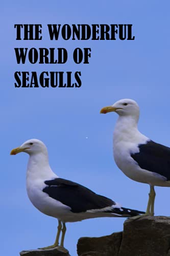 The Wonderful World of Seagulls (The Wonderful World of Animals, Band 1)