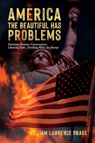 America The Beautiful Has Problems: Divisions between conservatives, choosing sides, deciding who's the enemy von Palmetto Publishing