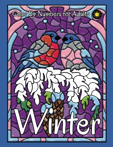 Winter Color By Numbers for Adults: Stained Glass Color by Number Coloring Book (Four Seasons Color By Number, Band 4) von Independently published