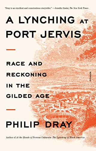 Lynching at Port Jervis: Race and Reckoning in the Gilded Age von Picador Paper