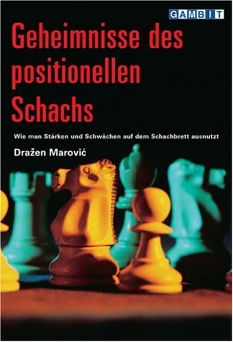 Geheimnisse des positionellen Schachs von Gambit Publications