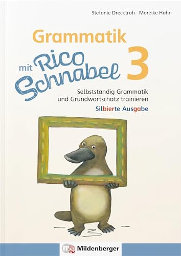 Grammatik mit Rico Schnabel, Klasse 3 - silbierte Ausgabe: Selbstständig Grammatik und Grundwortschatz trainieren (Rico Schnabel: Übungshefte Deutsch)