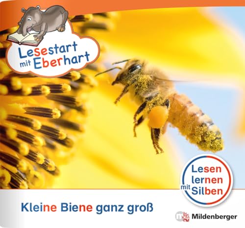 Lesestart mit Eberhart: Kleine Biene ganz groß: Themenhefte für Erstleser, Lesestufe 2 (Lesestart mit Eberhart: Lesen lernen mit Silben - Themenhefte für Erstlesekinder - 5 Lesestufen) von Mildenberger Verlag GmbH