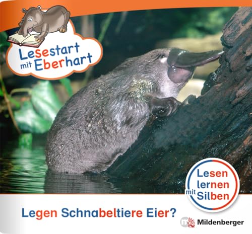 Lesestart mit Eberhart: Legen Schnabeltiere Eier?: Themenhefte für Erstleser, Lesestufe 2 (Lesestart mit Eberhart: Lesen lernen mit Silben - Themenhefte für Erstlesekinder - 5 Lesestufen) von Mildenberger Verlag GmbH