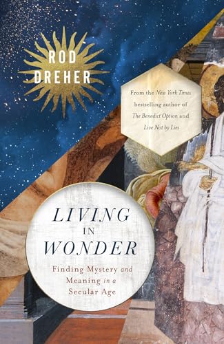 Living in Wonder: Finding Mystery and Meaning in a Secular Age von Hodder & Stoughton