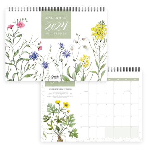 Tischkalender 2024 zum Aufstellen I Mit Liebe zum Detail gestaltet von Sophia Drescher I Stehkalender mit Wildblumen-Motiven für Büro oder Zuhause von Grätz Verlag GmbH