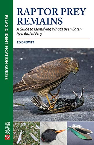 Raptor Prey Remains: A Guide to Identifying What's Been Eaten by a Bird of Prey (Pelagic Identification Guides) von Pelagic Publishing Ltd