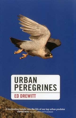 Urban Peregrines (Pelagic Monographs)