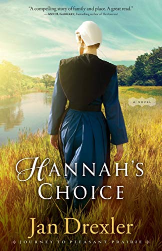 Hannah's Choice: A Novel (Journey to Pleasant Prairie, 1, Band 1)