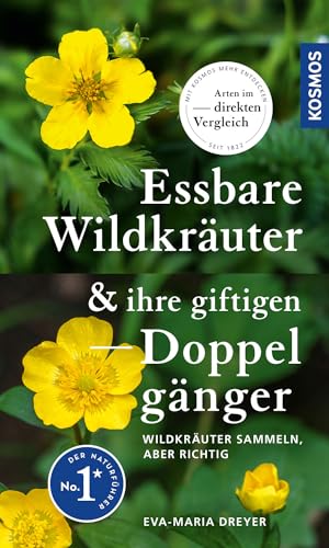 Essbare Wildkräuter und ihre giftigen Doppelgänger: Wildkräuter sammeln - aber richtig